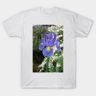 Blue Iris Flowers and Daisies T-Shirt